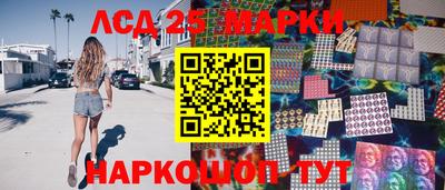 СК Кандалакша